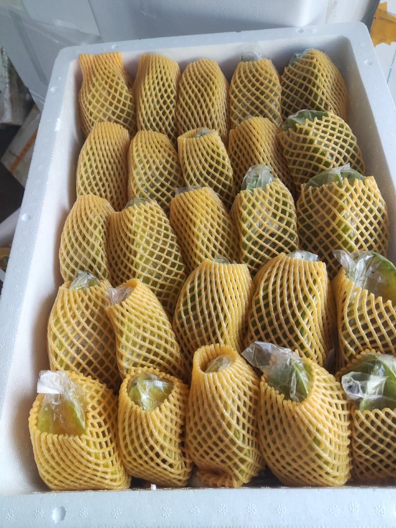 漳州五星杨桃一件代发，代办大量供应，市场批发，社区团购，