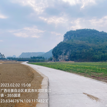 高标准农田，种一季水稻后，可种植其它旱作物