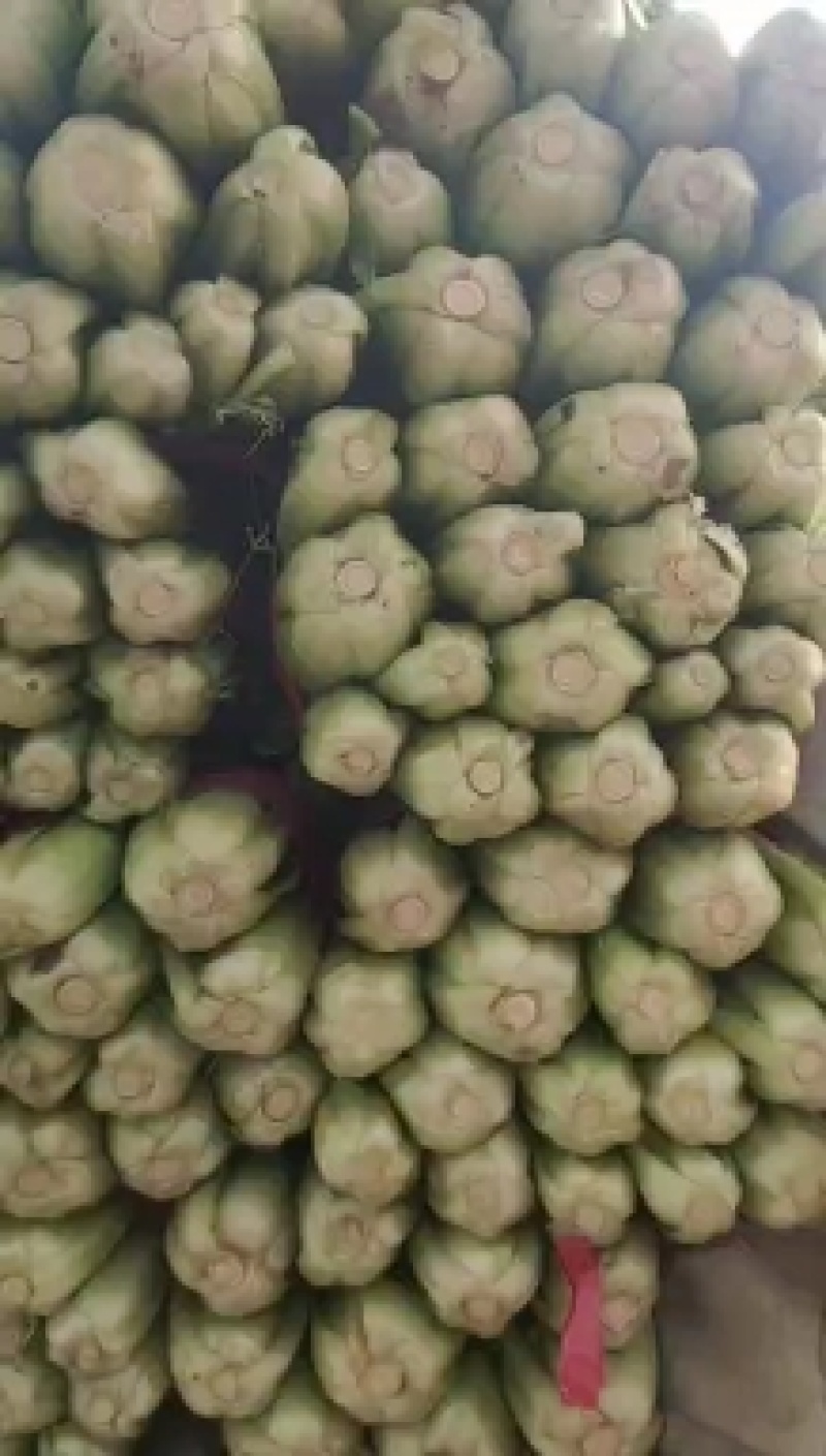 精品小白菜产地直销，质量有保证，货源充足欢迎随时下单