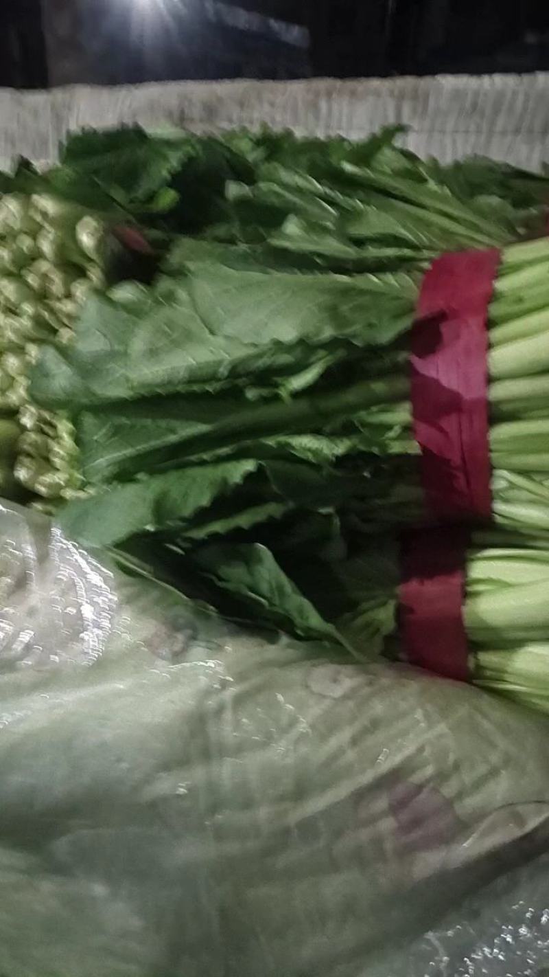 精品小白菜产地直销，质量有保证，货源充足欢迎随时下单