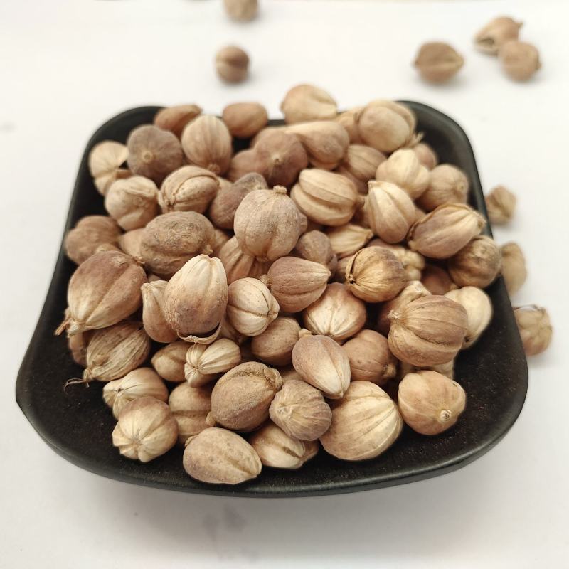 白蔻，白豆蔻，产地广西诚信经营保质保量，【贤帅药材批发】
