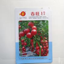 春旺17番茄种子粉亮果大果型膨果快抗病囗感好耐低温节间短