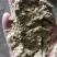 江西米糠大量有货品质保证量大从优欢迎咨询