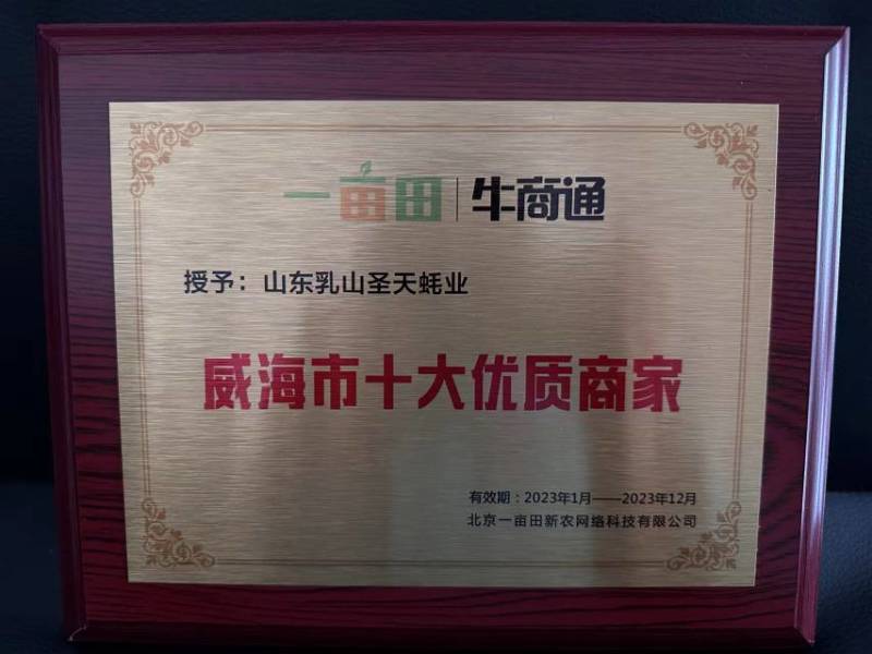 好品山东.礼飨中国.新春佳节送蚝礼乳山牡蛎更满意