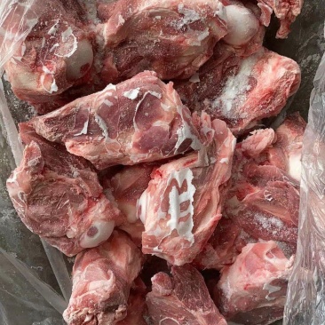 多肉大棒骨