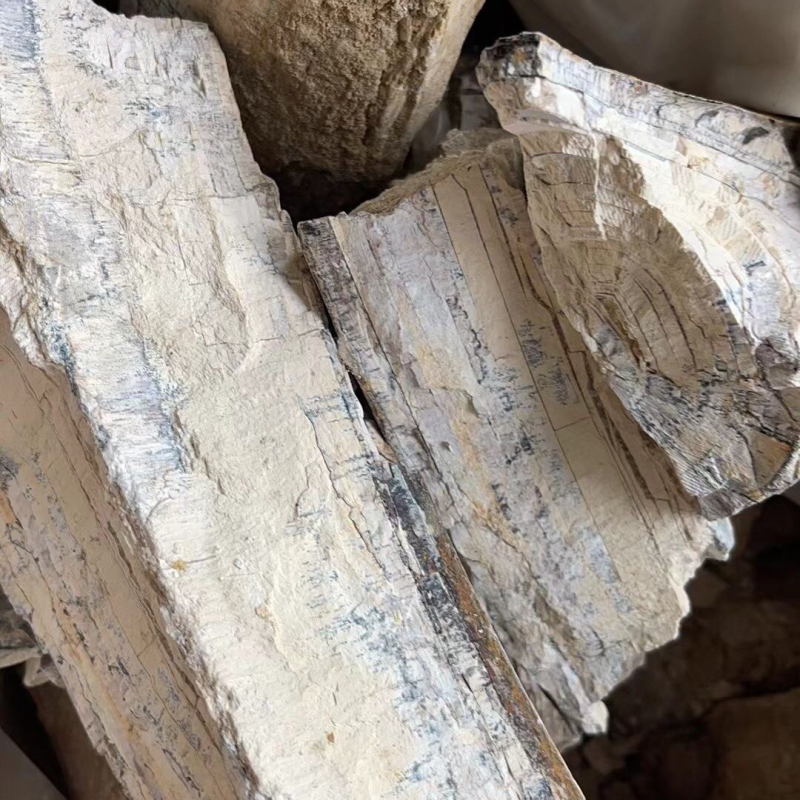 中药材五花龙骨龙骨正品五花龙骨·500克