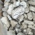 中药材五花龙骨龙骨正品五花龙骨·500克