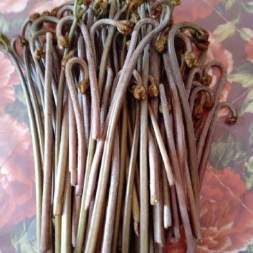 野撅菜