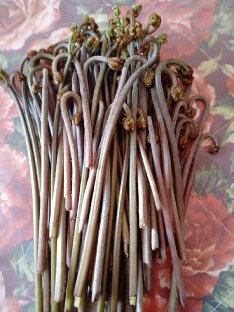 野撅菜