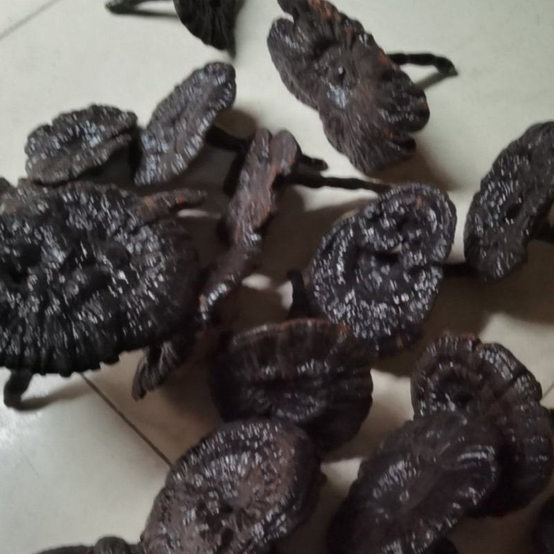 野生灵芝，质里扛扛的，有需求电话联系。