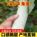 大量供应羊角蜜甜瓜1斤以上精品产地批发价格低欢迎咨询