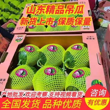 新货2k吊西瓜大量供应山东产地批发可视频一条龙服务