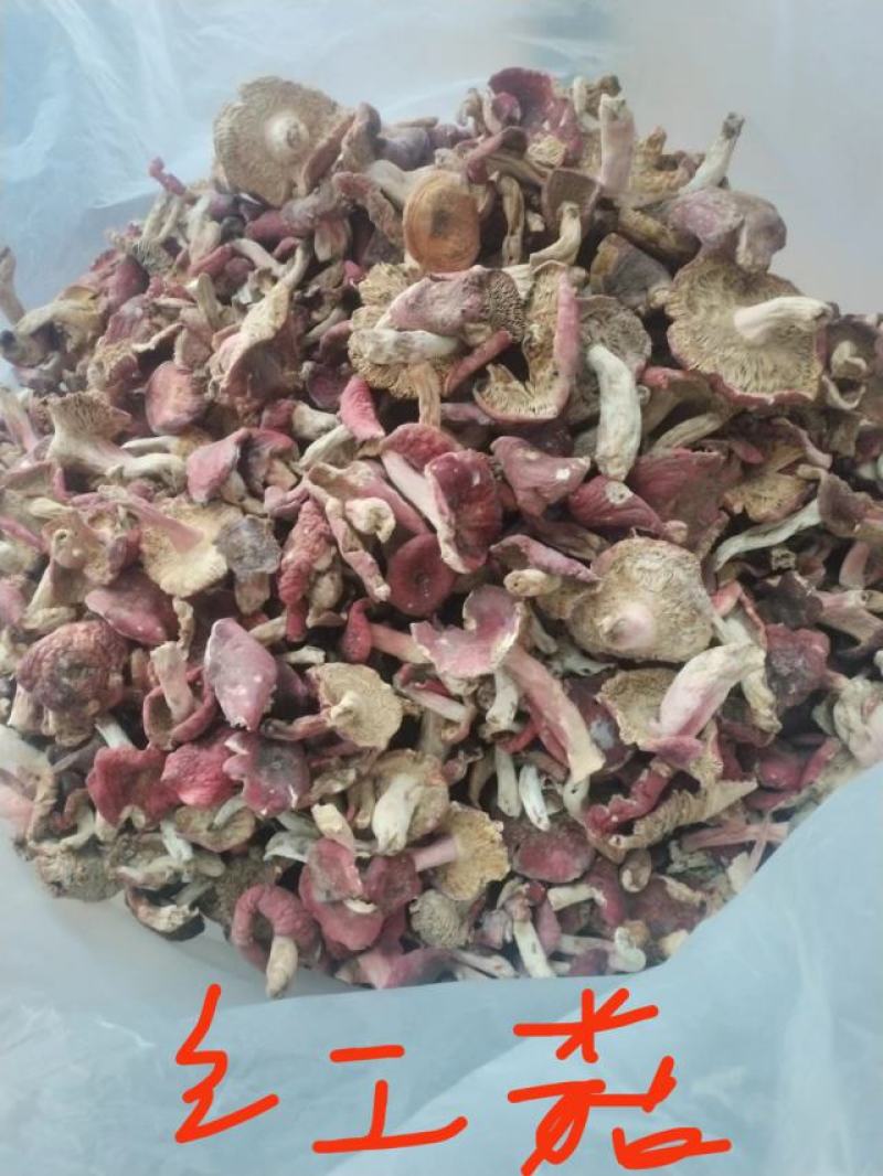 红菇，源产地一首货源四红菇，煲汤红菇，月子菇都是挑选货