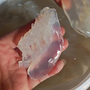 海蜇头！小花叶片短花，新货脆度好！大量现货供应产地直发