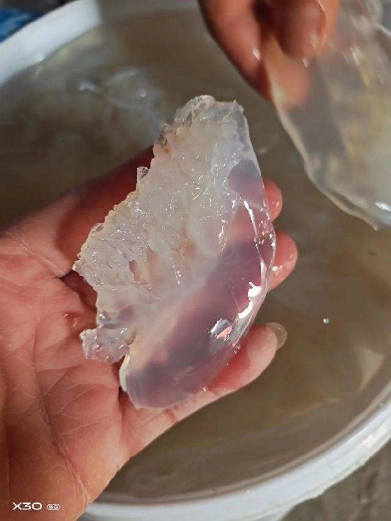 海蜇头！小花叶片短花，新货脆度好！大量现货供应产地直发