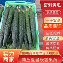 夏邑黄瓜，精品密刺黄瓜大量现货价格便宜欢迎咨询