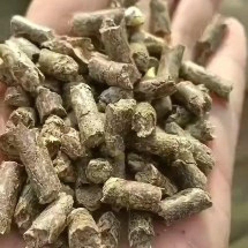 菊花粕