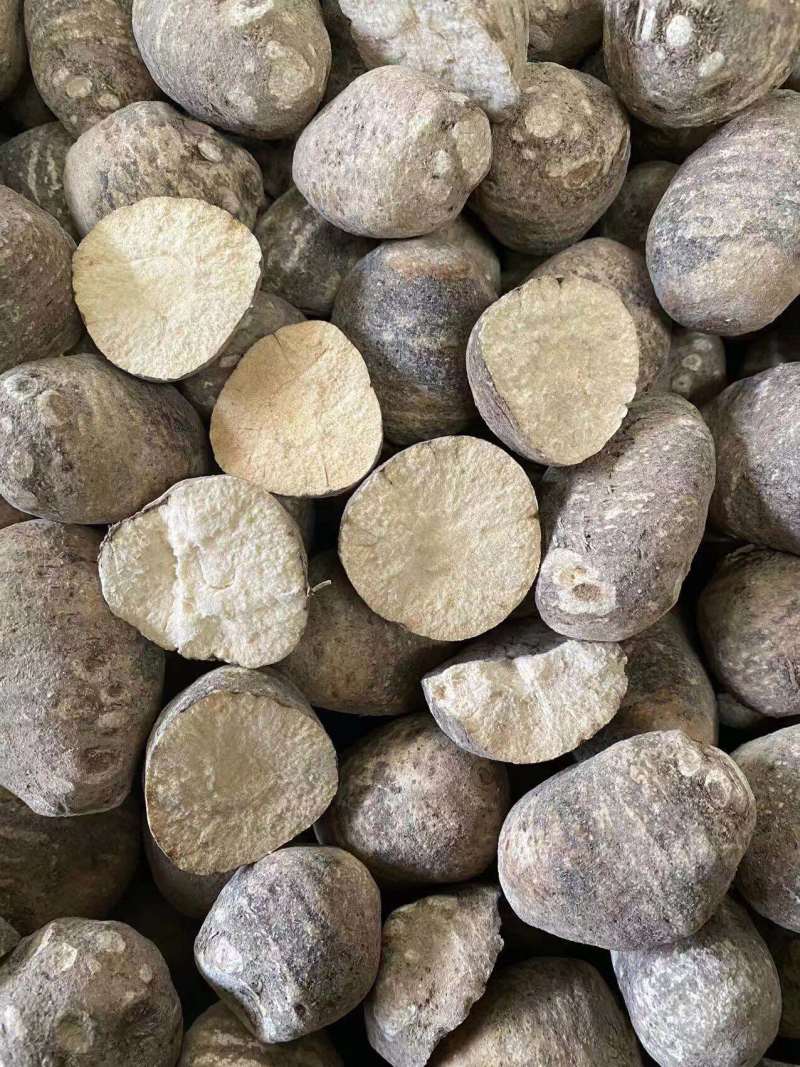 泽泄药材大量供应，产地代办，货源充足，交通便利