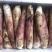 竹笋雷笋大量上市
