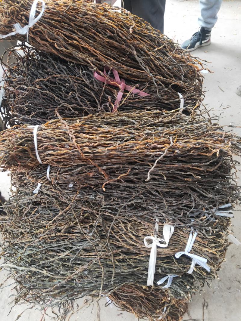 豆角长期大量供应干豇豆干豆角鲜豇豆鲜豆角欢迎老板订货