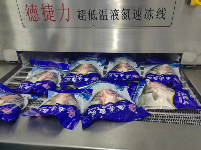 精品白鲢鱼头剁椒鱼头花鲢鱼头规格齐全品质保障