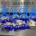 精品白鲢鱼头剁椒鱼头花鲢鱼头规格齐全品质保障
