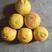 黄金贡柚土球苗，果实香甜可口，实物实拍，品质保证。