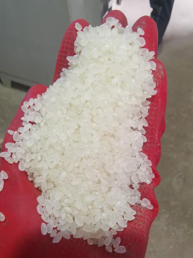 珍珠米，大批量珍珠米，东北产地，厂家发货，质量保证，欢迎来电