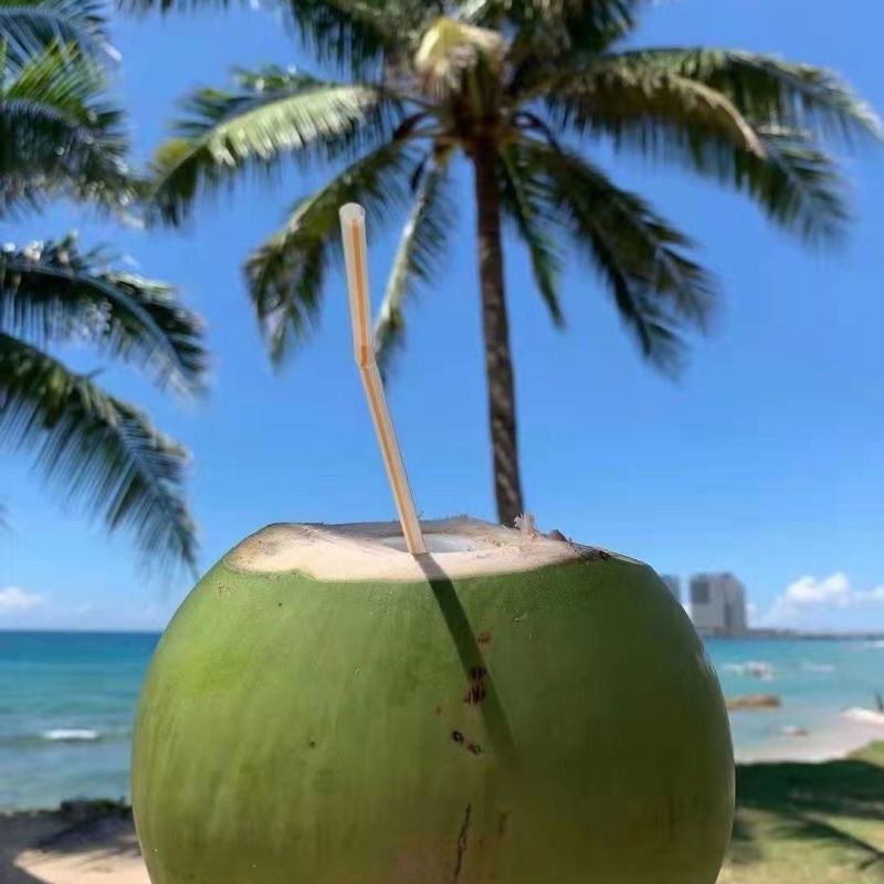 海南精品椰子，产地直发，品质保证，发往全国各地，欢迎咨询