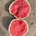 美都西瓜有籽无籽大吨位供应7到13斤，糖度12个打底