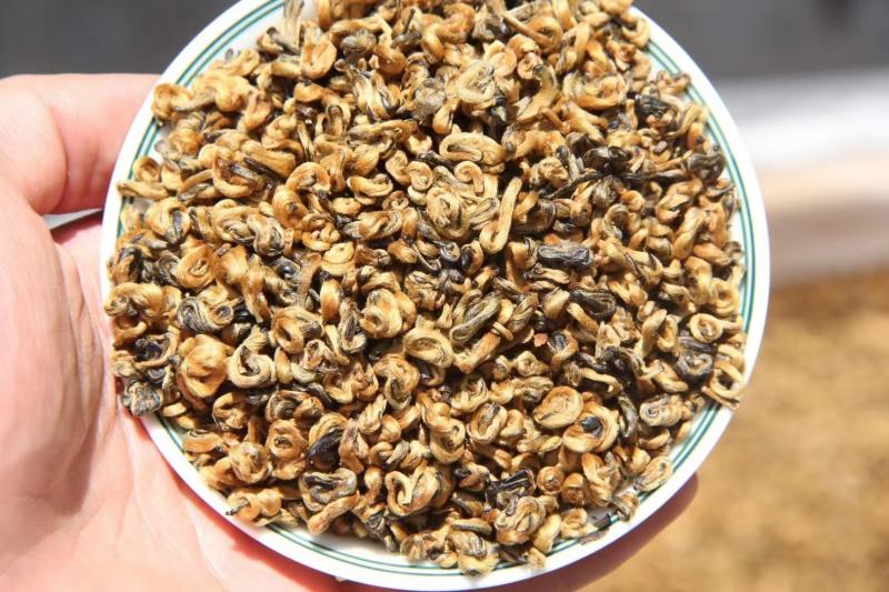 2023年早春蜜香金螺上市规格：500g/一份