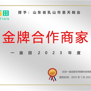 好品山东.礼飨中国.新春佳节送蚝礼乳山牡蛎更满意