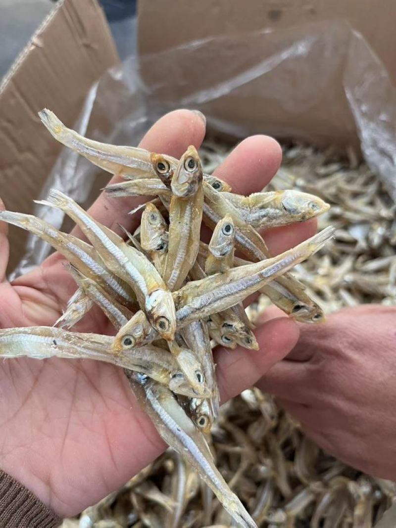 公鱼干淡晒小鱼干白凡鱼海燕鱼跑江湖摆地摊