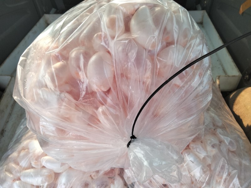 长年有货每日现杀新鲜花白鲢鱼泡质量好份量足长期有货