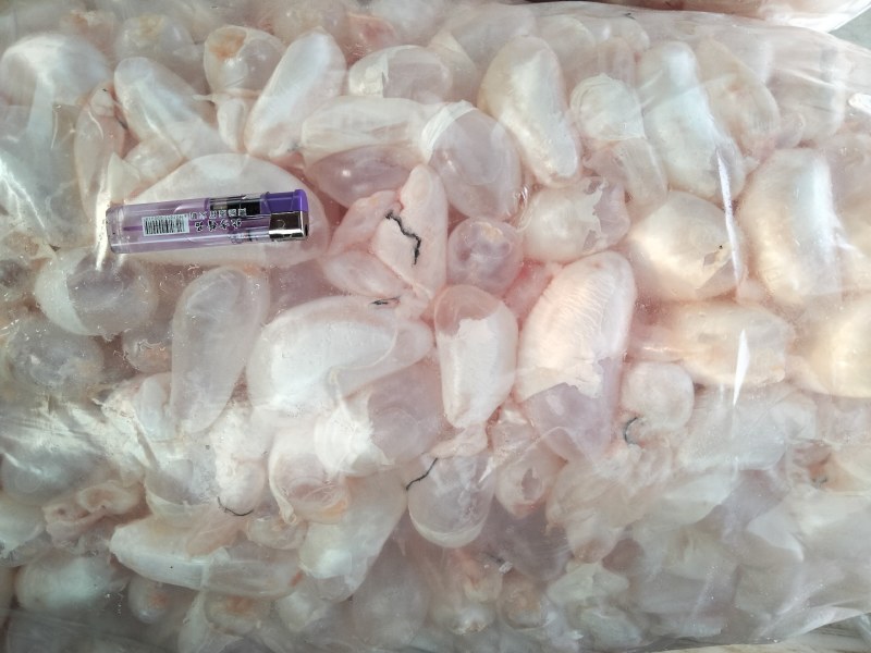 长年有货每日现杀新鲜花白鲢鱼泡质量好份量足长期有货