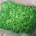 精品莴笋干，脱水莴笋片，莴笋片，脱水蔬菜，莴笋