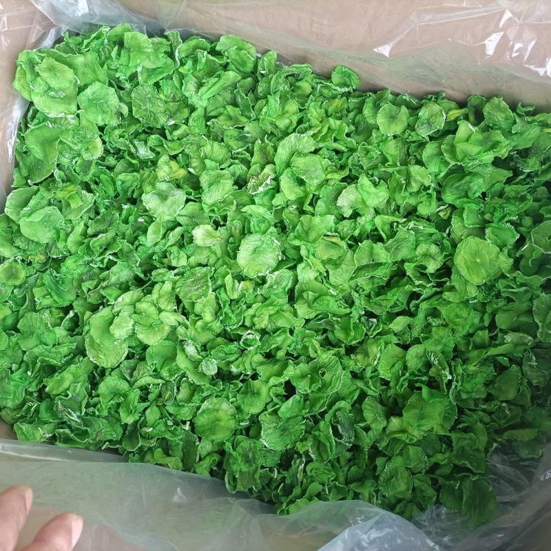 精品莴笋干，脱水莴笋片，莴笋片，脱水蔬菜，莴笋