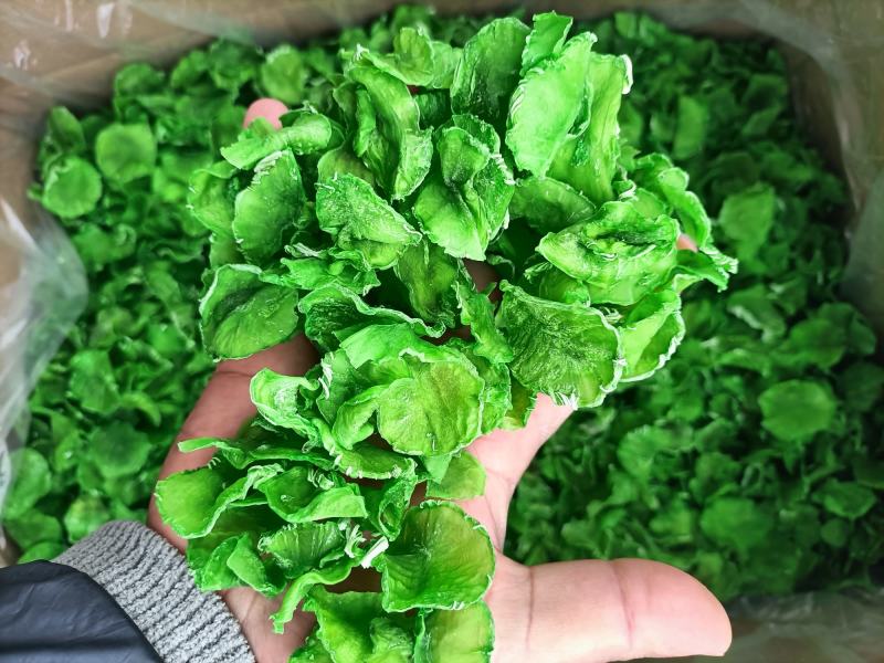精品莴笋干，脱水莴笋片，莴笋片，脱水蔬菜，莴笋