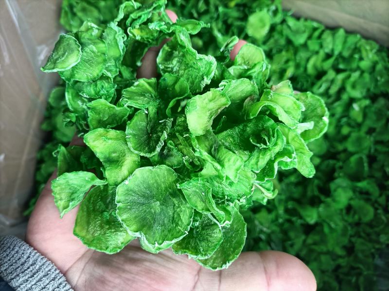 精品莴笋干，脱水莴笋片，莴笋片，脱水蔬菜，莴笋