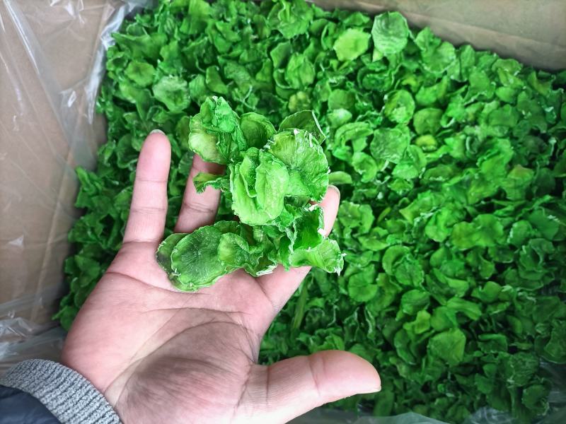 精品莴笋干，脱水莴笋片，莴笋片，脱水蔬菜，莴笋