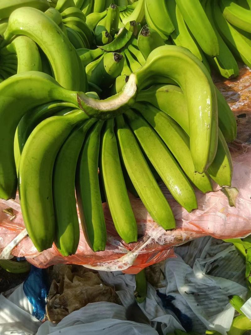 元阳香蕉，口感糯细，甜度比一般的还要高，欢迎订购