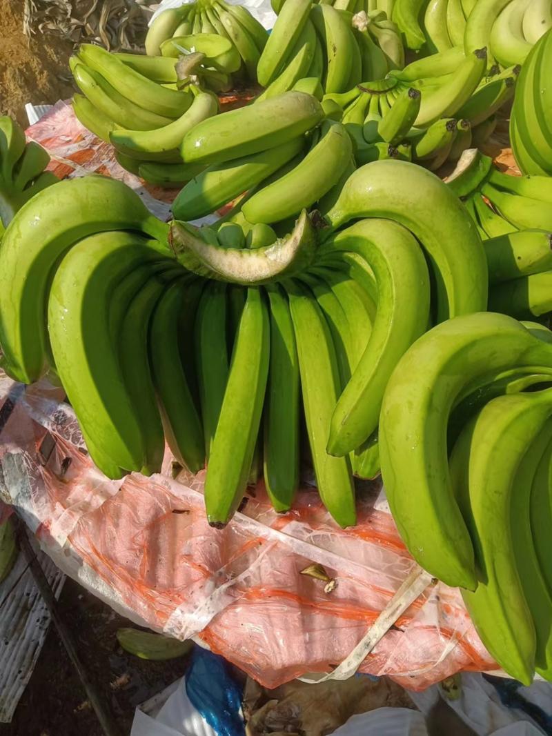 元阳香蕉，口感糯细，甜度比一般的还要高，欢迎订购