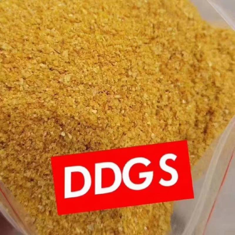 玉米酒糟DDGS