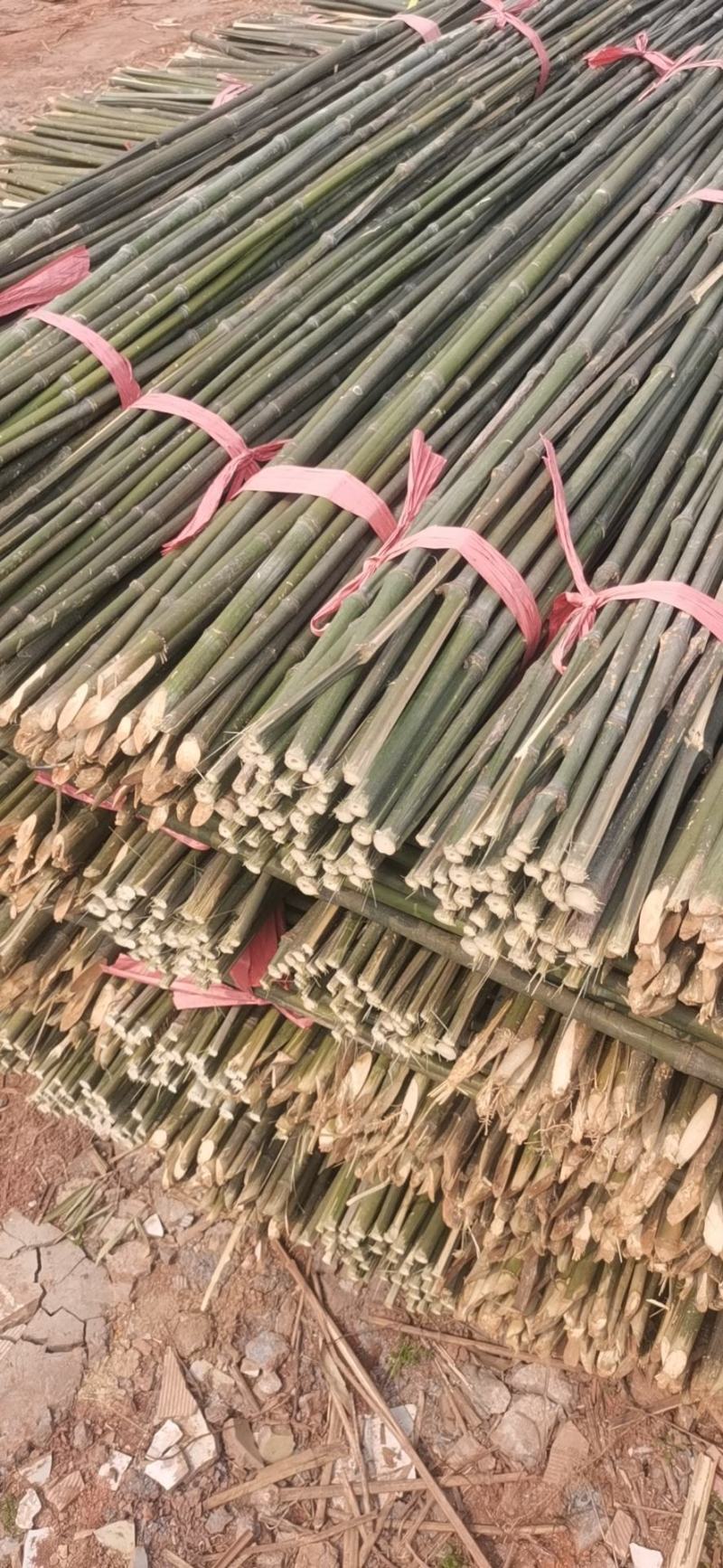 湖南竹竿蔬菜竹竿菜架竹豆角架黄瓜架冬瓜架专用竹竿