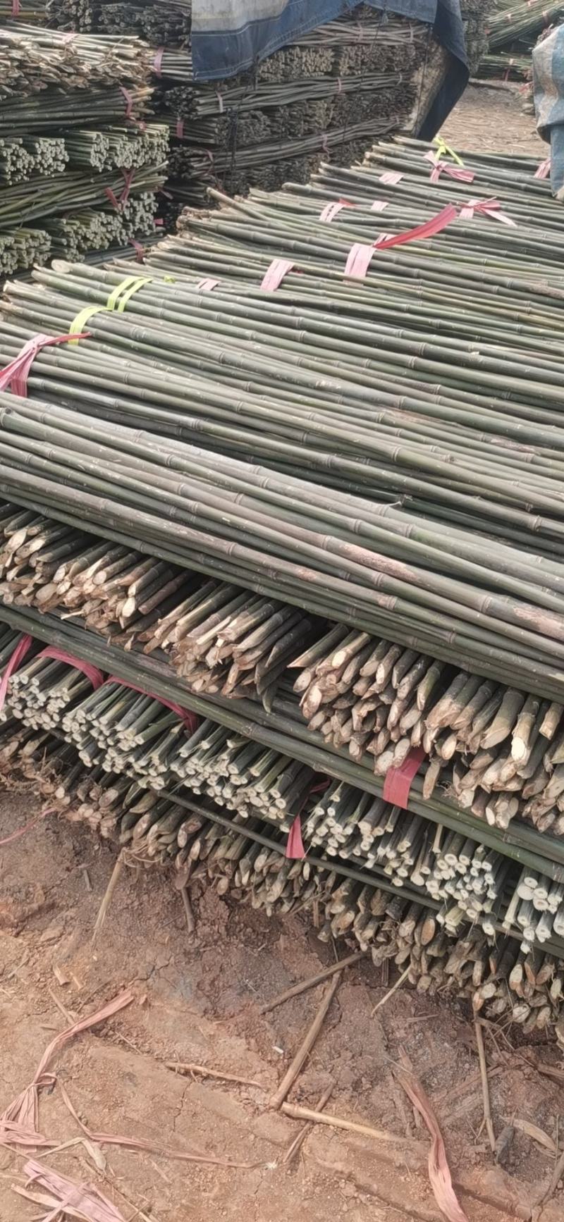 湖南竹竿蔬菜竹竿菜架竹豆角架黄瓜架冬瓜架专用竹竿