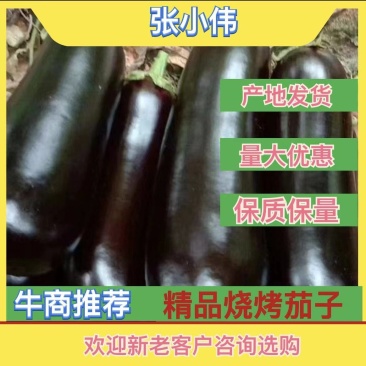 烧烤茄『牛』精品烧烤茄子，现摘现发，油光发亮，质量杠杠的