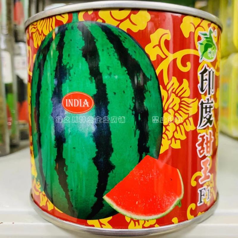印度甜王西瓜种子早熟抗旱耐湿抗裂皮薄大果西瓜种籽基地专用
