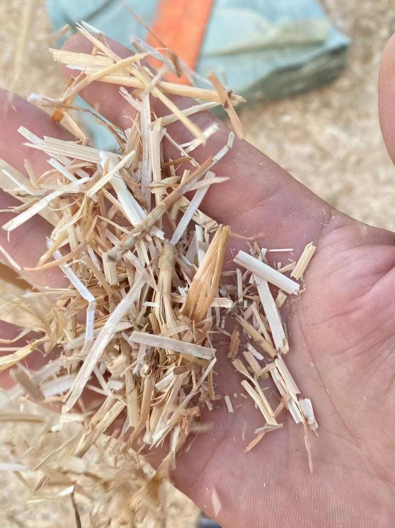 精品揉丝压块小麦秸秆揉丝除尘无土无膜无霉变