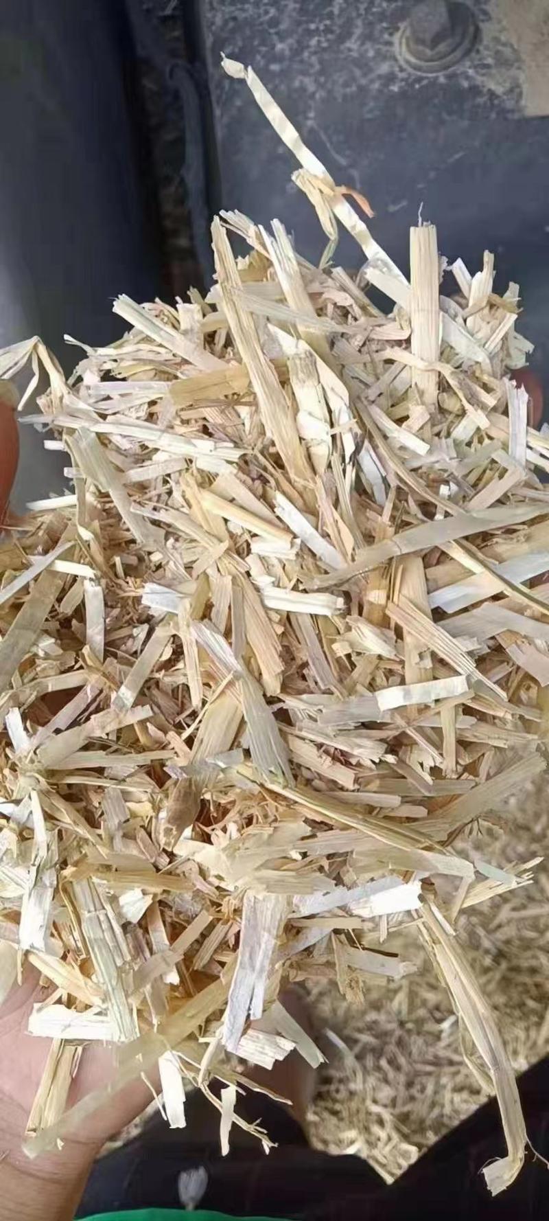 精品揉丝压块小麦秸秆揉丝除尘无土无膜无霉变