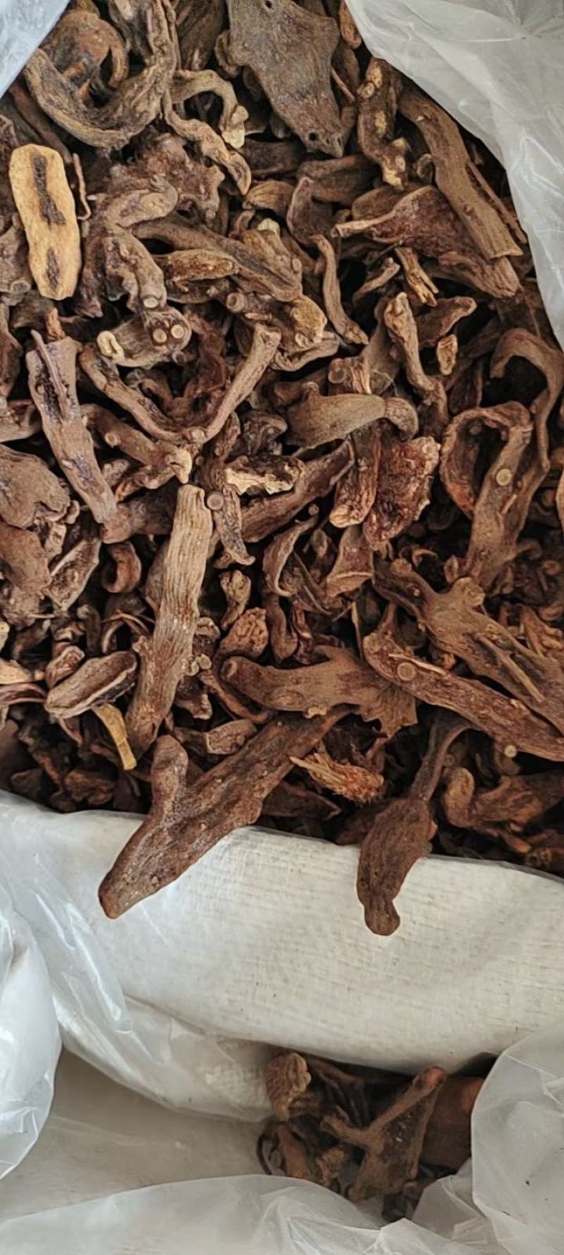 骨碎补纯野生岩石生货符合药典含量高大量供货欢迎咨询